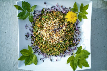 Kräftigender Sprossen-Wildkräuter-Salat