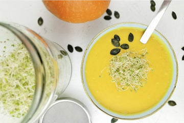 Vitalisierende Kürbiscreme-Suppe mit Alfalfasprossen