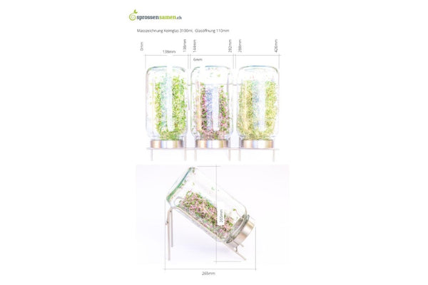Keimglas Biosprosser 3100ml aus Glas mit Ständer