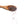 Dulse Algen Flocken Bio