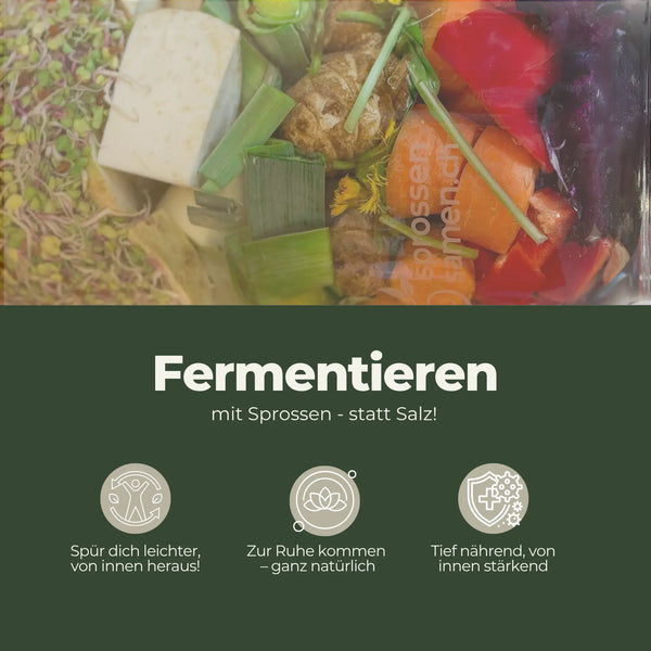 Fermentier-Set „VitalGlas“ von Kimchi & Gemüse