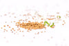 Alfalfa seeds for sprouting, organic 250g