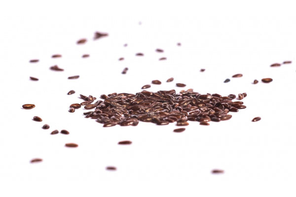 Flohsamen Bio Sprossensamen 250g