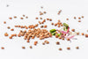 Radiesli Bio Samensprossen 250g